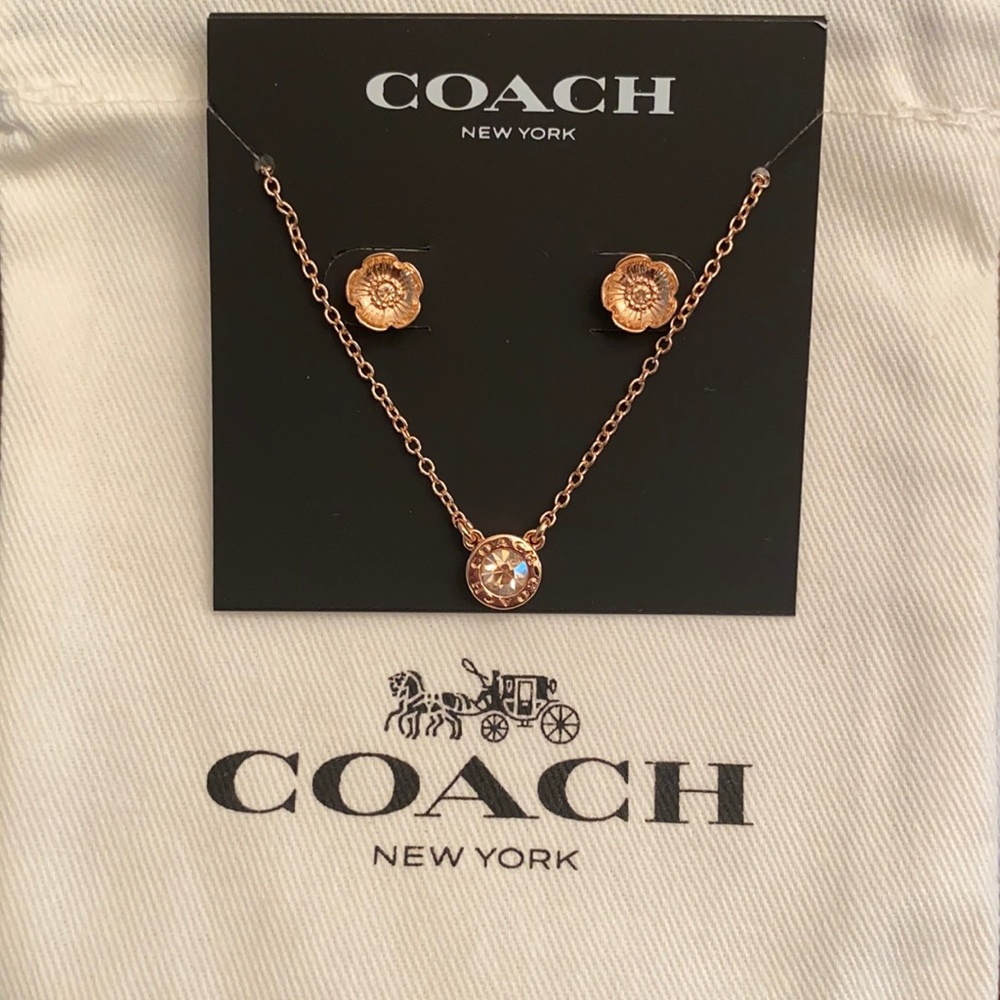 Coach Earring and Necklace set Rose Gold